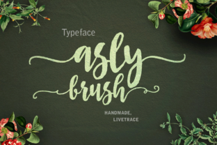 Asly Brush Font for Creative Campaigns