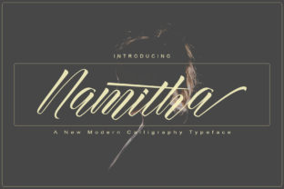 Discover the Namitha Font