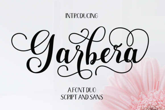 Garbera Duo Font for Creative Design